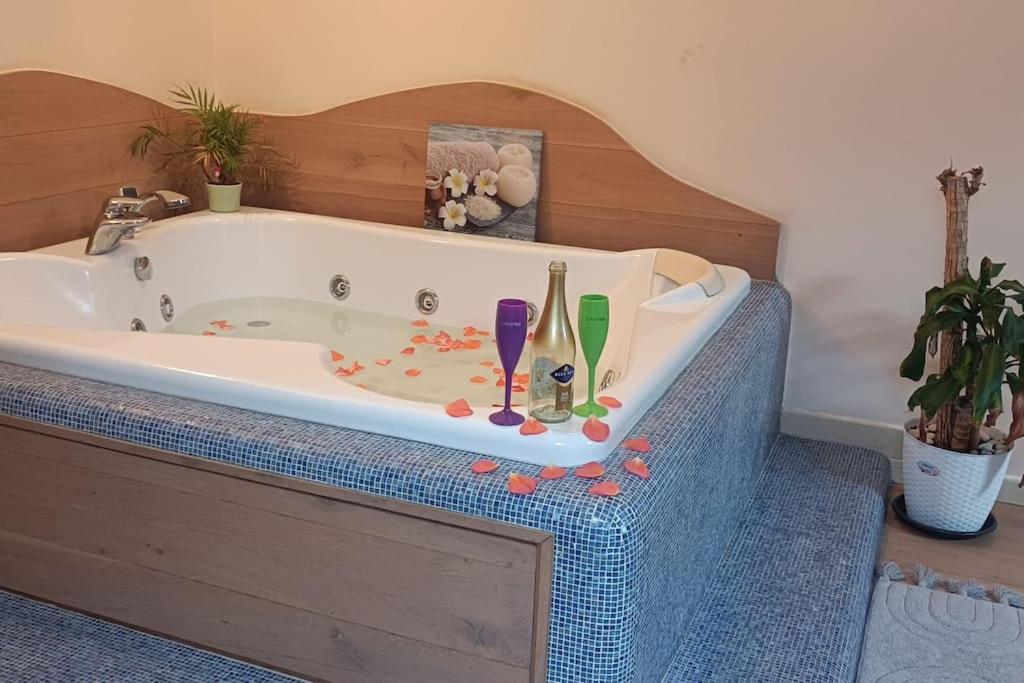 Central Terrace Escape With Jacuzzi Timişoara Extérieur photo
