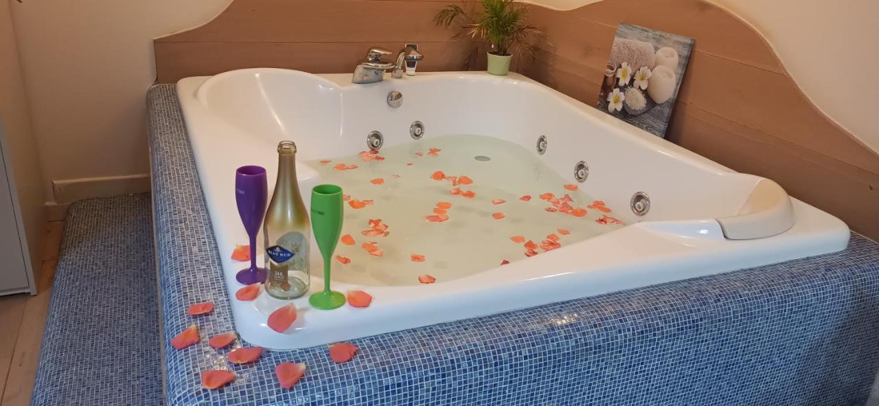 Central Terrace Escape With Jacuzzi Timişoara Extérieur photo
