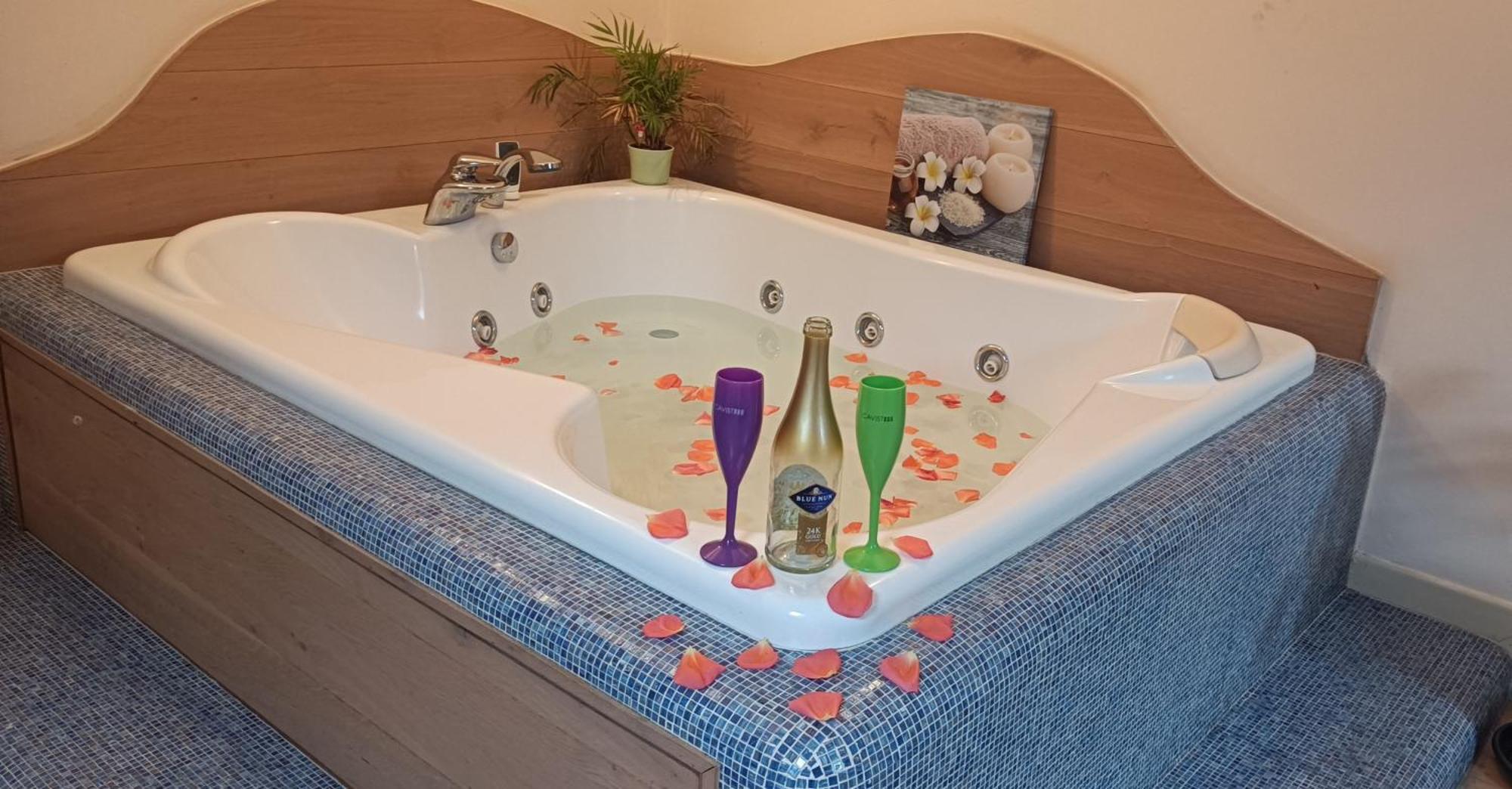 Central Terrace Escape With Jacuzzi Timişoara Extérieur photo
